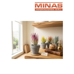 PLANTA DECORATIVA 10 CM X 20 CM, 4 COLORES.