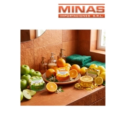 PERFUMADOR EN GEL PARA AUTO X 60 GR, 3 FRAGANCIAS.