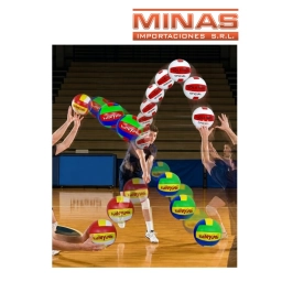PELOTA DE VOLEY N� 5.