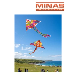 COMETA CON  COLA 100 CM X 48 CM X 70 CM.