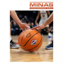 PELOTA DE BASKET N� 7.