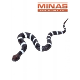SERPIENTE REAL NEGRA Y BLANCA X 48 CM.