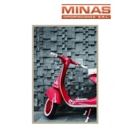 CUADRO 35 X 45 CM 12 DISEOS