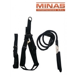 CORREA CON CORREA Y PECHERA PARA PERRO