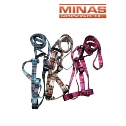 CORREA Y PECHERA PARA PERRO