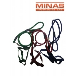 CORREA  Y PECHERA PARA PERRO 2.5 CM