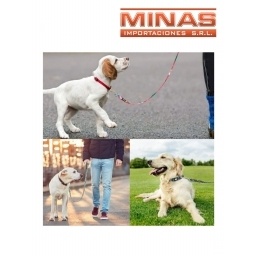 CORREA PARA PERRO 2CM