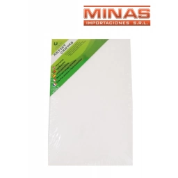 LIENZO PARA PINTAR 20 CM X 30 CM.