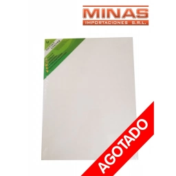 LIENZO PARA PINTAR 30 CM X 30 CM.