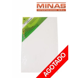 LIENZO PARA PINTAR 20 CM X 30 CM.
