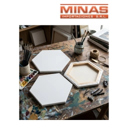 LIENZO PARA PINTAR X 25 CM, HEXAGONO.