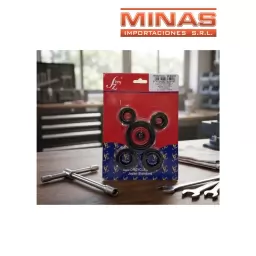 KIT DE RETENES PARA MOTOR 125