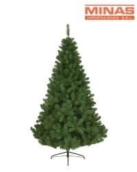 arbol