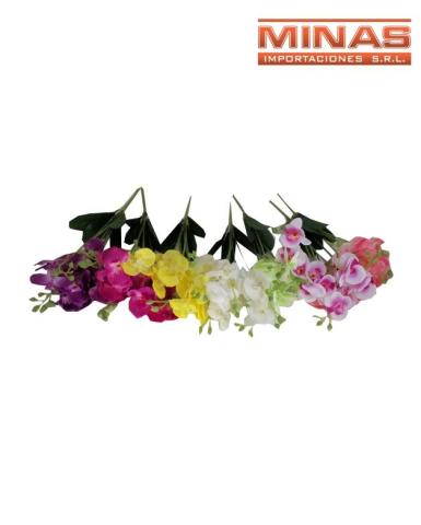 orquideas