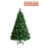 arbol