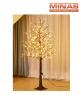 arbol 